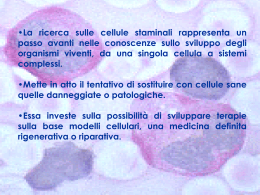 Nessun titolo diapositiva