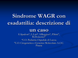 Sindrome WAGR con esadattilia: descrizione di un caso