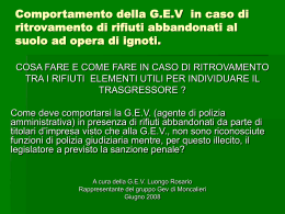 Diapositiva 1 - Provincia di Torino