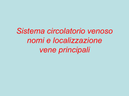 Sistema circolatorio venoso nomi e localizzazione vene