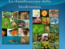 La classificazione della biodiversità