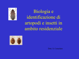 intervento - Igiene Urbana e Ambientale