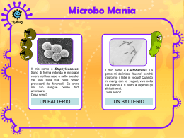 "Microbo-Mania" risposte (presentazione) - e-Bug
