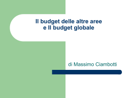 Il budget delle altre aree Il budget globale