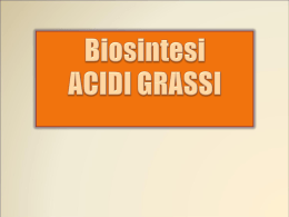 La sintesi degli acidi grassi avviene essenzialmente nel fegato e