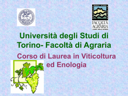 Viticoltura ed Enologia - CISI - Universit&agrave; degli Studi di Torino