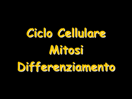 09b_Ciclo_Cellulare,_Mitosi,_Differenziamento