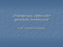 Ontogenesi apparato genitale femminile