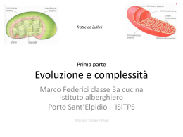 Evoluzione e Complessità (Marco Federici)