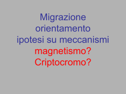 migrazione