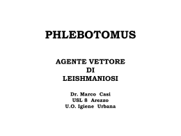 PHLEBOTOMUS - Etruria Medica