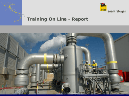 training Online reportistica