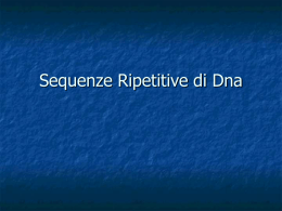 repetitive DNA sequences - Collegio San Giuseppe De Merode