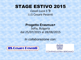 STAGE ESTIVO 2015 Casali Luca 5°B I.I.S Cesare Pesenti
