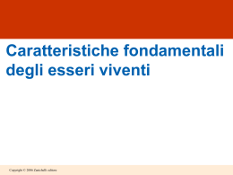 le caratteristiche dei viventi