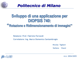 ThesisTaglianiViazzi_2005_IT