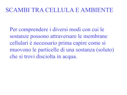 Copia Fis gen lez 1 trasporti biotec