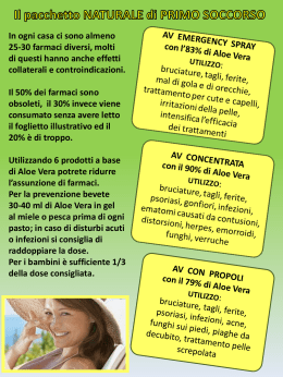 Pacchetto_Primo_soccorso - LR Health e Beauty systems by