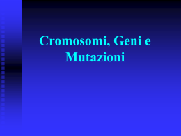 Cromosomi geni mutazioni