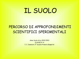 suolo - IC camaiore 3