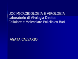 Lezione Calvario:virus - Liceo Orazio Flacco Bari