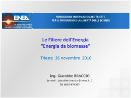 G.Braccio - ENEA - FIT Fondazione Internazionale Trieste