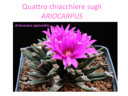 Il genere Ariocarpus