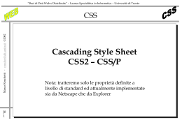 CSS/P