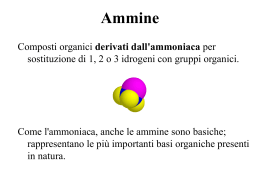 Lezione "Ammine"