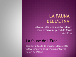 La fauna dell`Etna