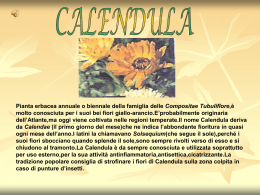 Orto botanico - Il laboratorio per la didattica della Fisica del Liceo