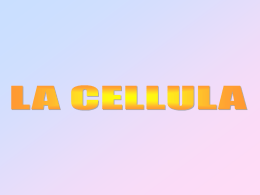 La cellula - Home - Istituto San Giuseppe Lugo