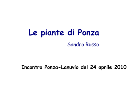 Le piante di Ponza Sandro Russo