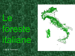 Le foreste italiane