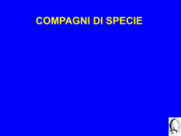 Compagni di specie, Il valore della relazione con il cane