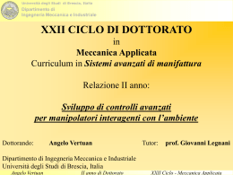 XXII CICLO DI DOTTORATO in Meccanica Applicata Curriculum in