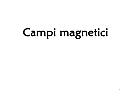 Campi magnetici - Istituto Amsicora