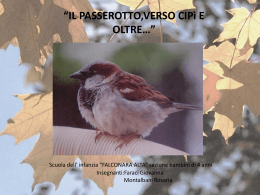 IL PASSEROTTO,VERSO CIP&igrave; E OLTRE