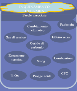 Inquinamento dell`aria: Cause e rimedi