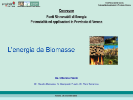 L`Energia da Biomasse