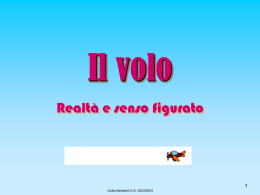 Il volo