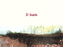 Il Suolo - Amedeo Rollo