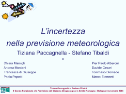 Why Limited Area Ensemble Prediction?