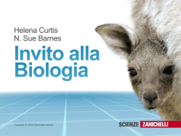 Curtis_Invito_02_Respirazione_Cellulare
