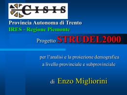 modello STRUDEL-VE - Servizio Statistica