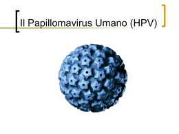 Infezione da Papillomavirus Tumore del Collo dell`utero La