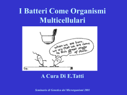 I Batteri come organismi multicellulari.(Introduzione)