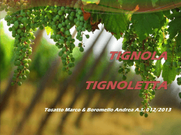 Tignola e Tignoletta