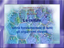 Struttura della cellula