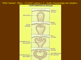 Istologia del cristallino - Area-c54